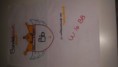 Numero 3